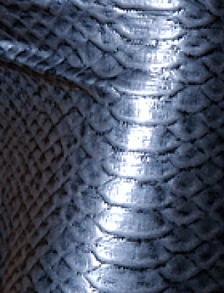 Struktur Latex Snake Silver